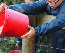 IMG 7795 2